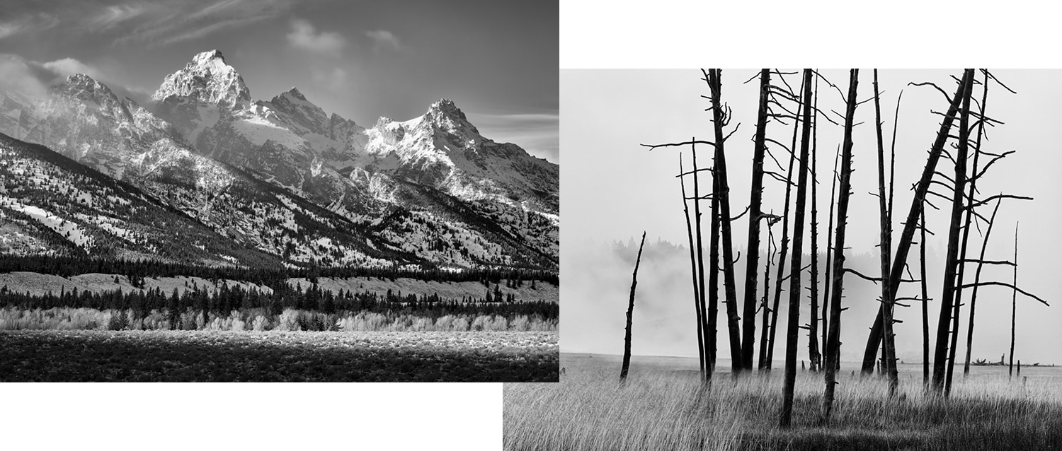 Wyoming-business
